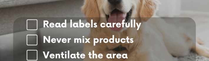 Pawsitively Clean: Keeping Your Furry Friends Safe with Pet-Friendly Cleaning